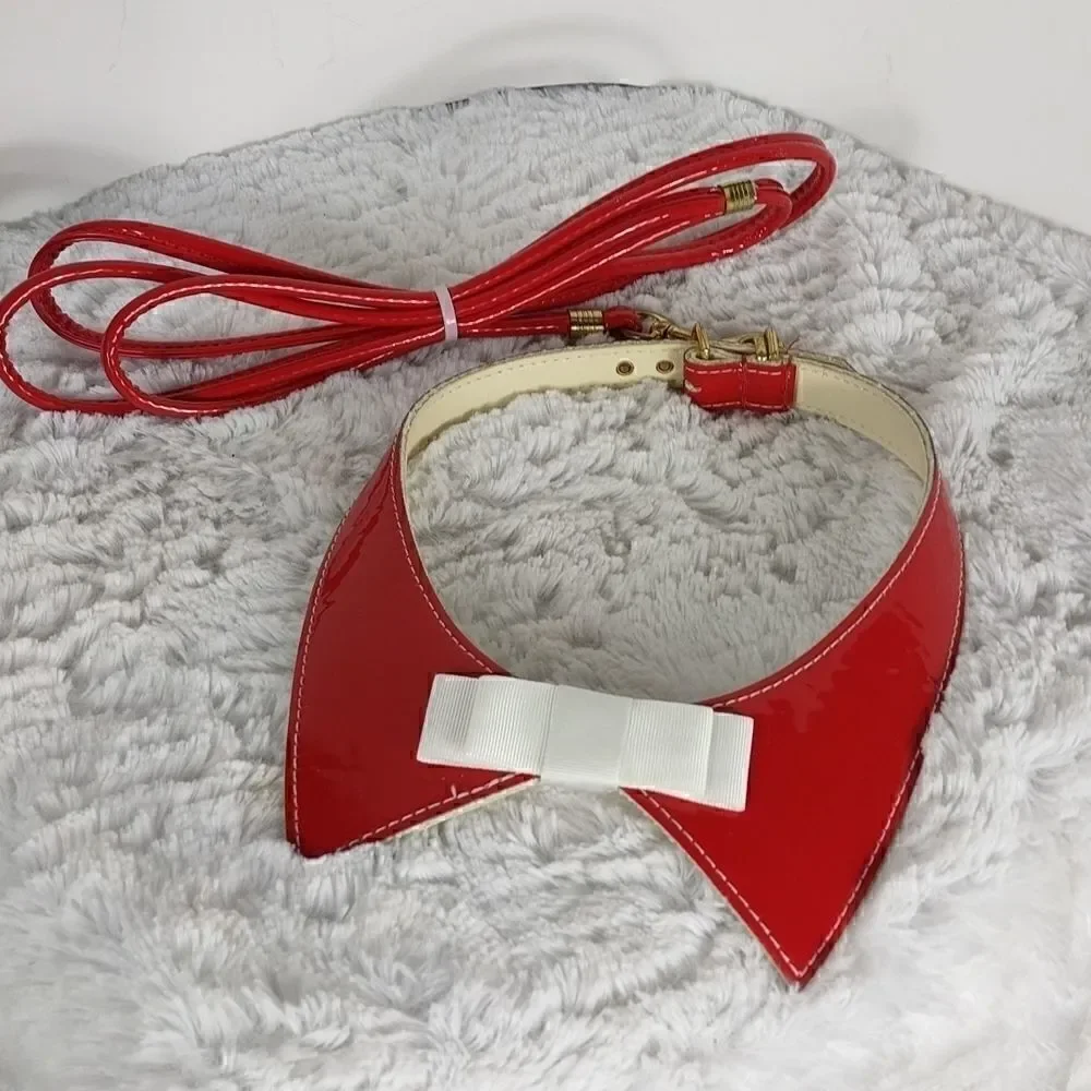 Red Dog Collar & Leash 18